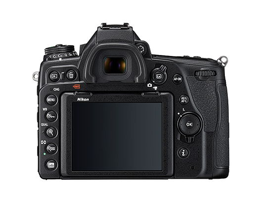 니콘 DSLR D780 Body