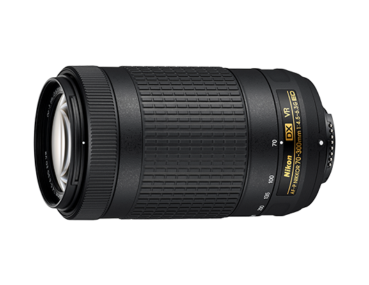니콘 AF-P DX NIKKOR 70-300mm f/4.5-6.3G ED VR