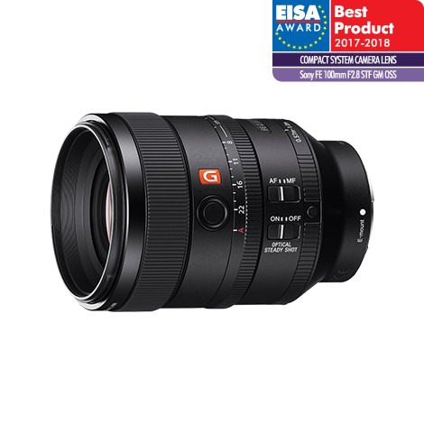 소니 SEL100F28GM LENS