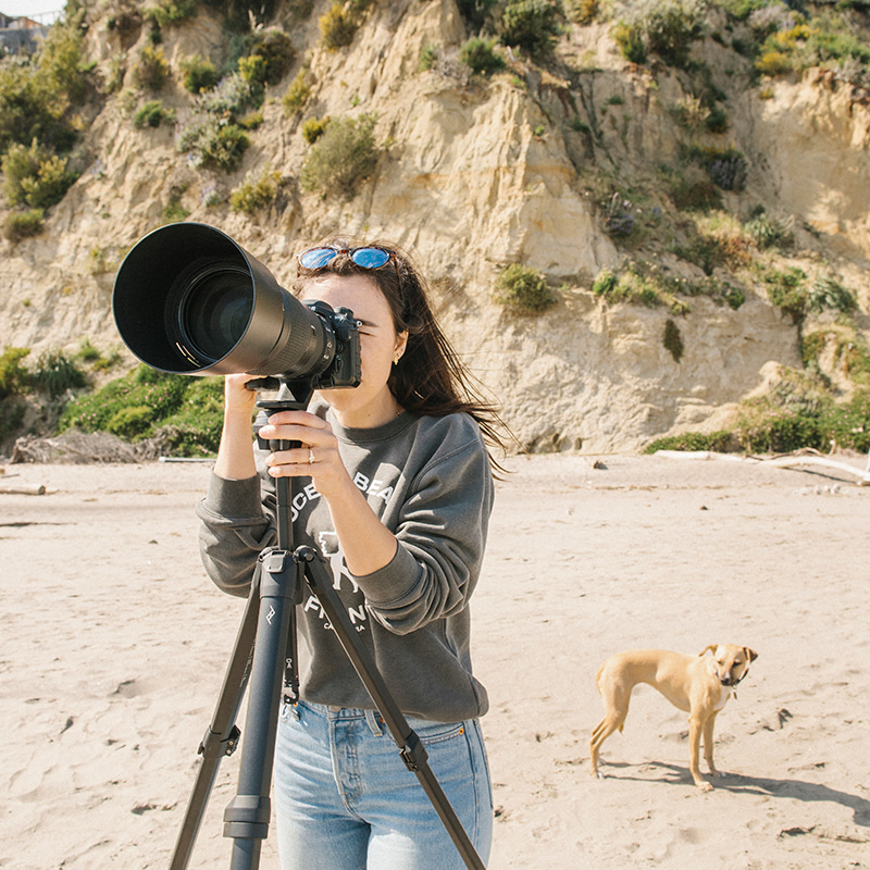 픽디자인 트래블 삼각대 알루미늄